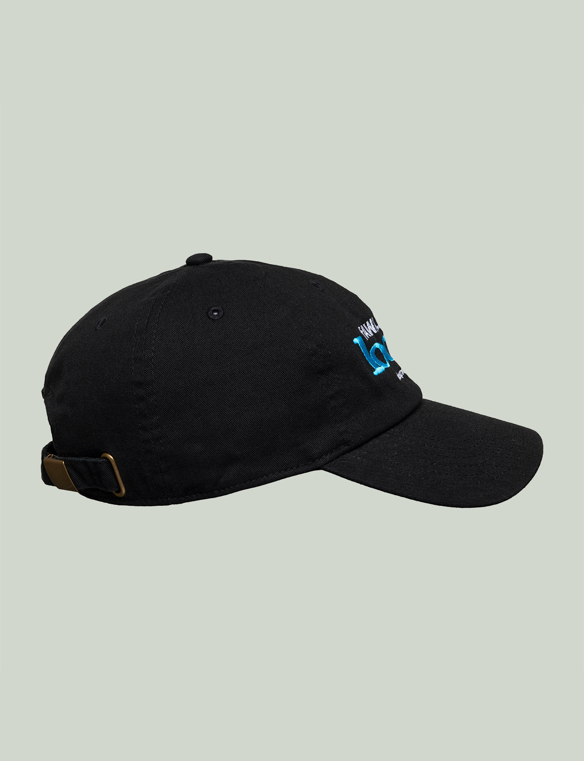 CLAY ARLINGTON - 'looser' BASSBALL CAP