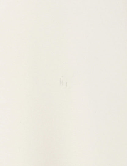 Stand Collar Turtleneck Top / white