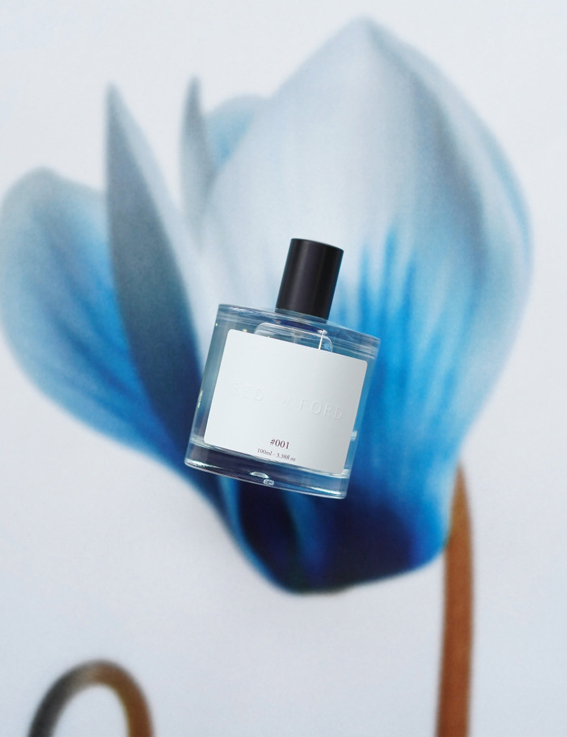 BED j.w. FORD - Fragrance 001 – The Contemporary Fix Kyoto