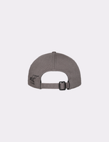 CONNECTING ERROR CAP