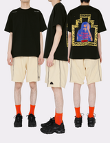 END OF THE ADVENTURE T